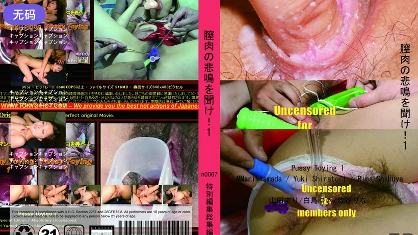 n0067 膣肉の悲鳴を聞け！1
